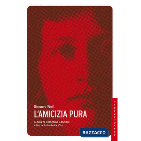 Amicizia pura (L')
