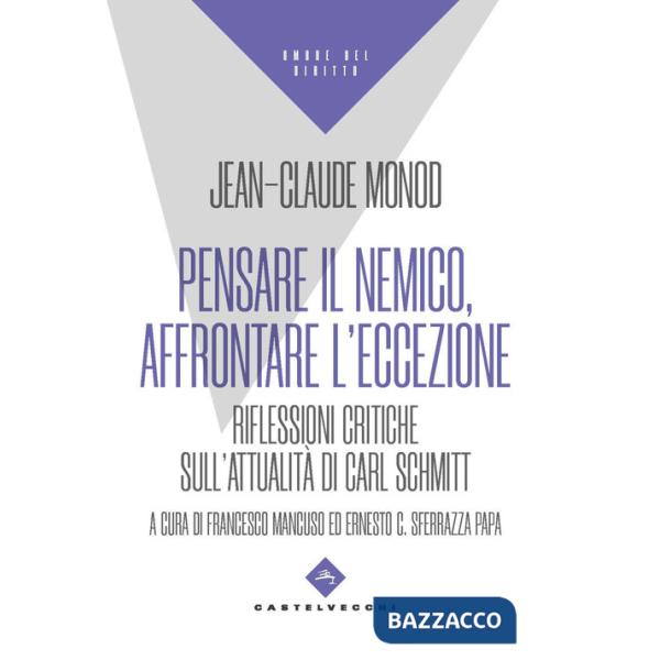Pensare il nemico, affrontare l'eccezione. Riflessioni critiche sull'attualità di Carl Schmitt