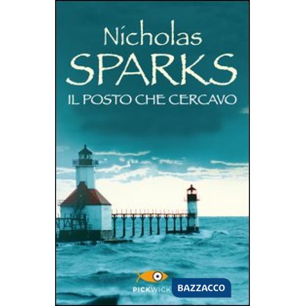 Posto che cercavo (Il)