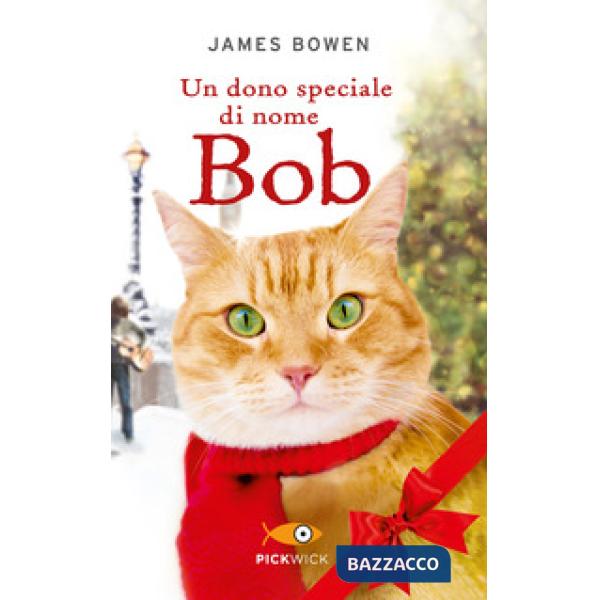 Dono speciale di nome Bob (Un)