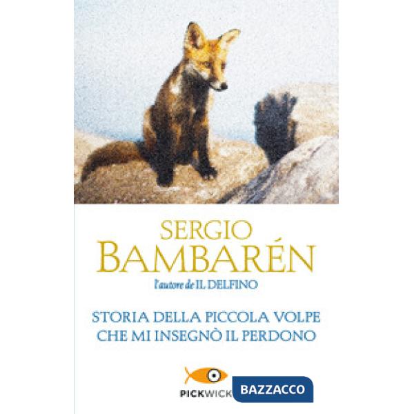 Storia della piccola volpe che mi insegnò il perdono
