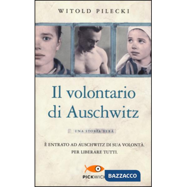 Volontario di Auschwitz (Il)