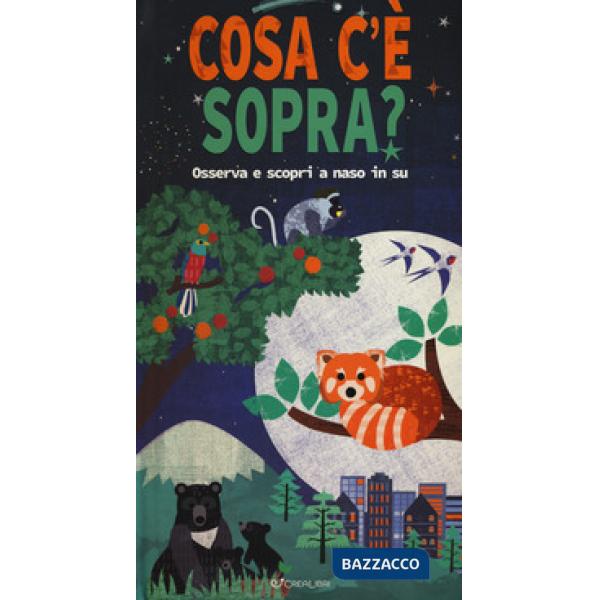 Cosa c'è sopra? Osserva e scopri a naso in su. Libro pop-up. Ediz. a colori