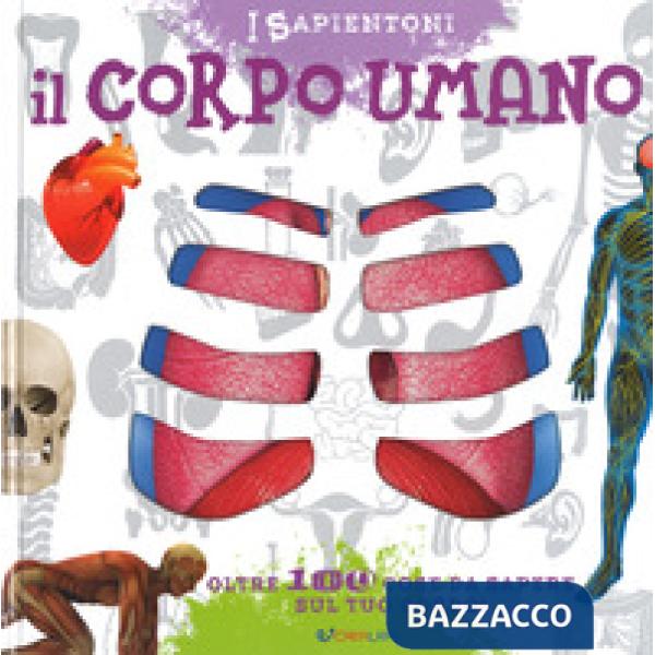 Corpo umano. Oltre 100 cose da sapere sul tuo corpo. Ediz. a colori (Il)