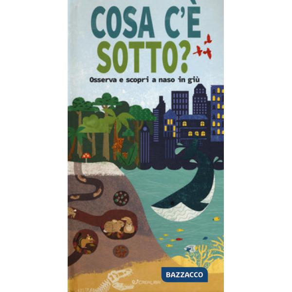 Cosa c'è sotto? Osserva e scopri a naso in giù. Ediz. a colori