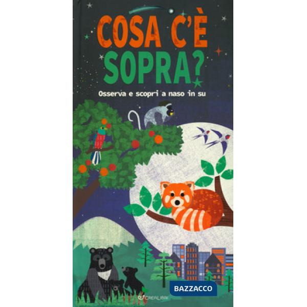 Cosa c'è sopra? Osserva e scopri a naso in su. Libro pop-up. Ediz. a colori