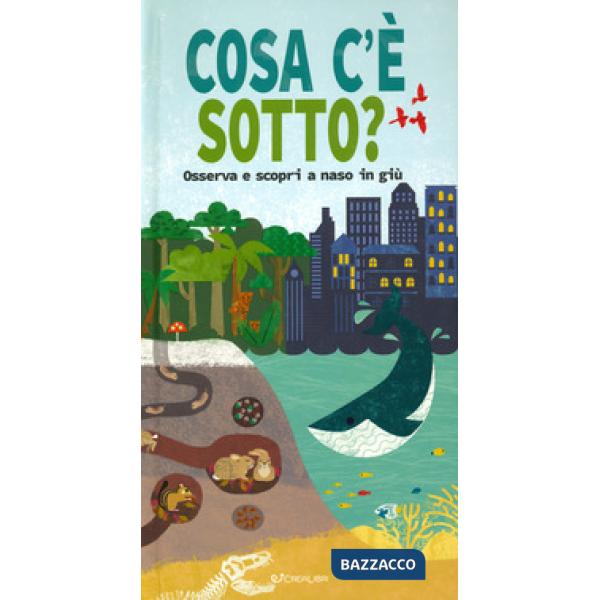 Cosa c'è sotto? Osserva e scopri a naso in giù. Ediz. a colori