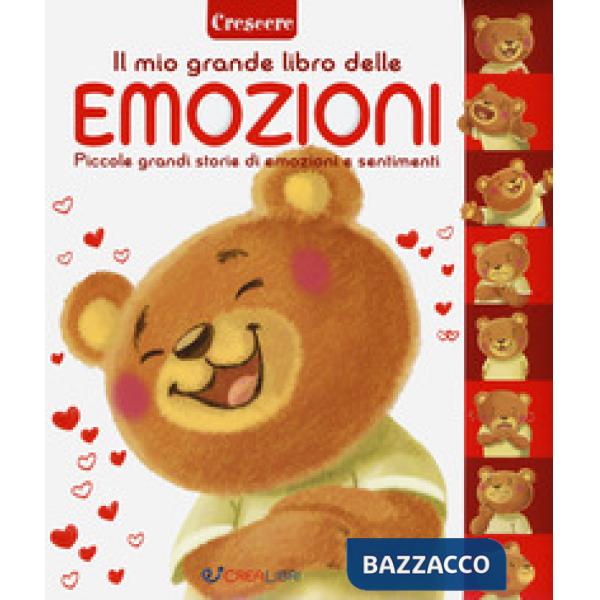Libro delle emozioni. Piccole grandi storie di emozioni e sentimenti. Ediz. a colori (Il)