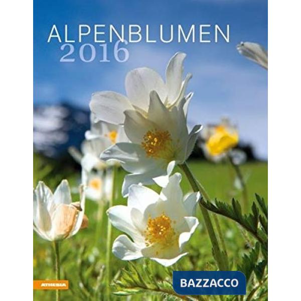 Alpenblumen 2016