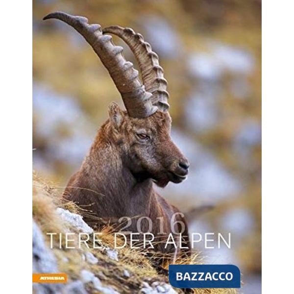 Tiere der Alpen 2016