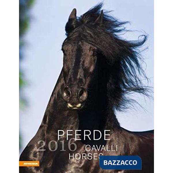 Cavalli 2016