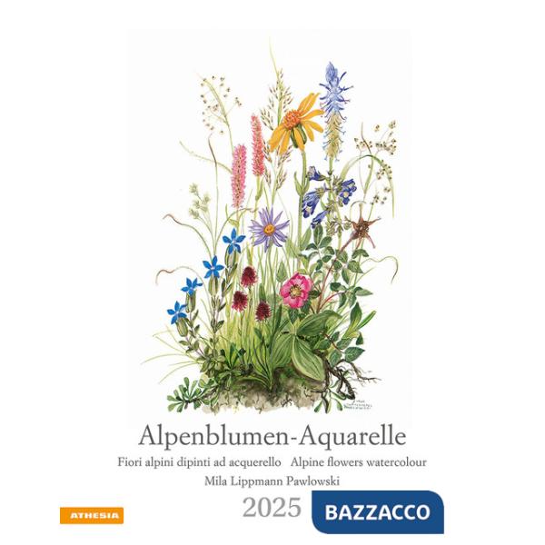 Alpenblumen-Aquarelle. Kalender 2025