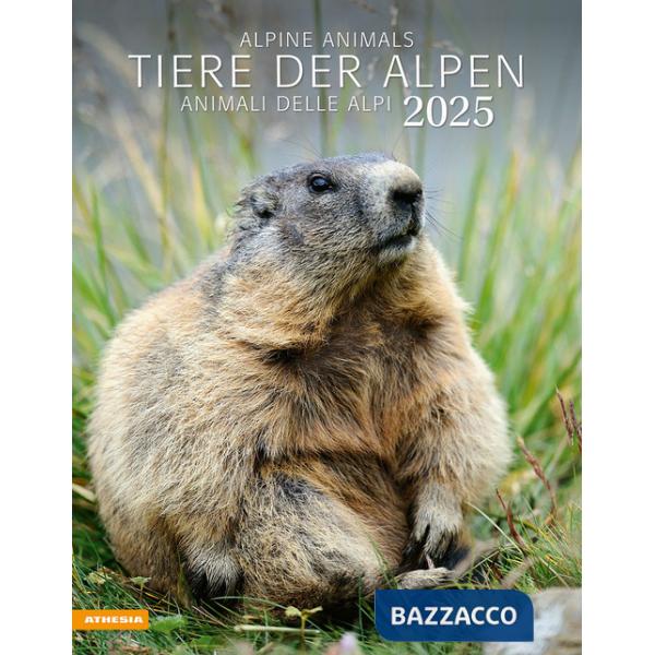 Tiere der Alpen. Kalender 2025