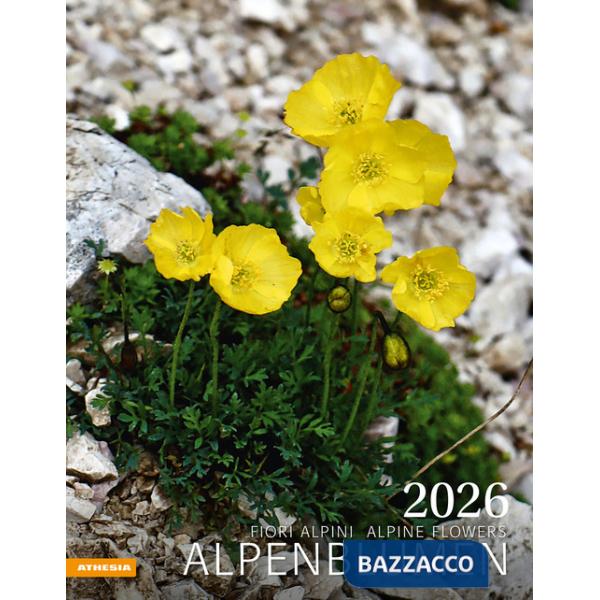 Alpenblumen. Fiori alpini. Calendario grande 2026