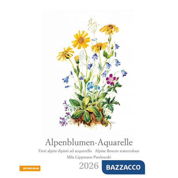 Alpenblumen-Aquarelle. Fiori alpini dipinti ad acquerello. Calendario grande 2026