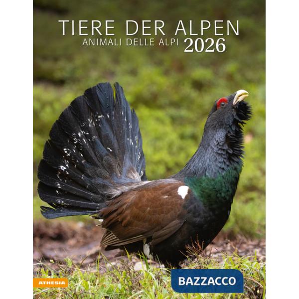 Tiere der Alpen. Animali delle Alpi. Calendario grande 2026