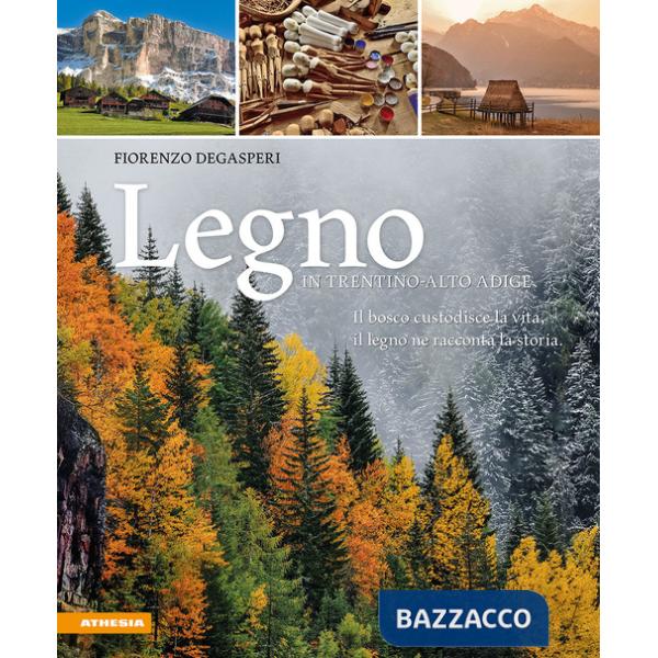 Legno in Trentino-Alto Adige. Il bosco custodisce la vita, il legno ne racconta la storia