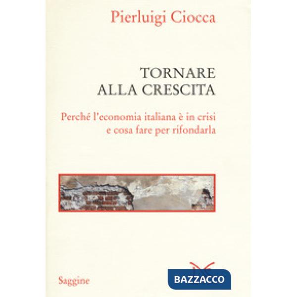 Tornare alla crescita. Perché l'economia italiana è in crisi e cosa fare per rif