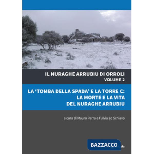 Nuraghe Arrubiu di Orroli. Con DVD-ROM (Il). Vol. 2: La «tomba della spada» e la