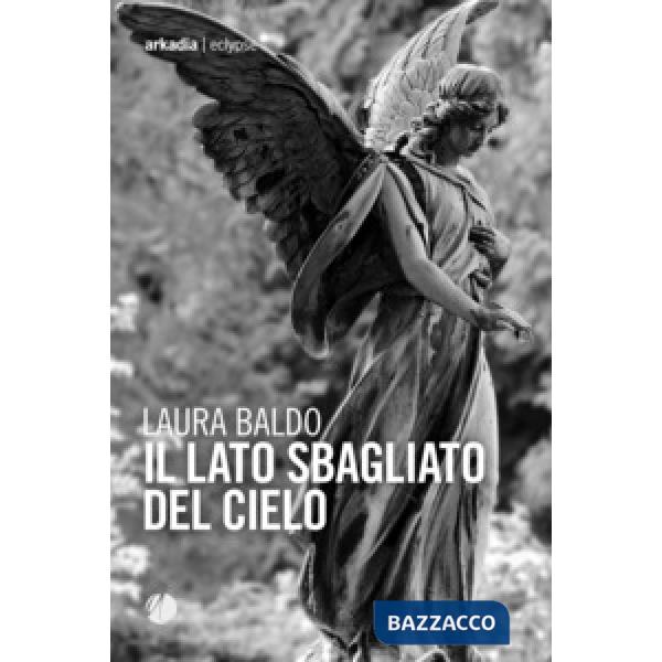 Lato sbagliato del cielo (Il)