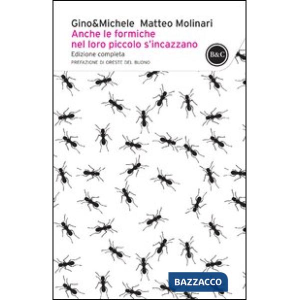 Anche le formiche nel loro piccolo si incazzano