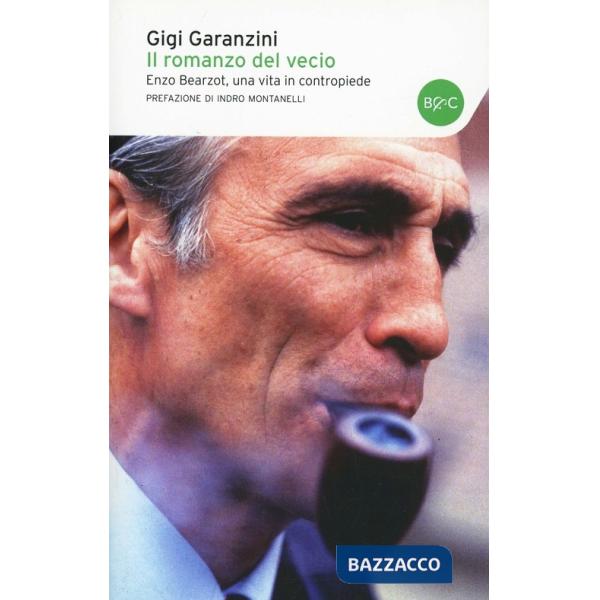 Romanzo del «vecio» (Il)