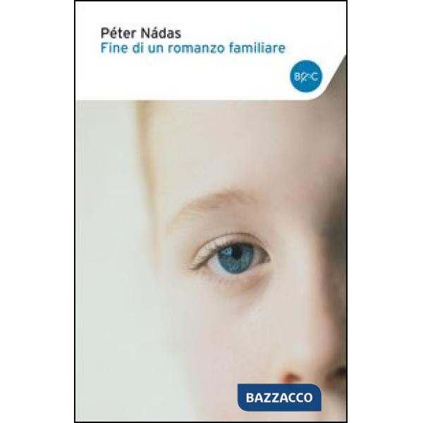 Fine di un romanzo familiare