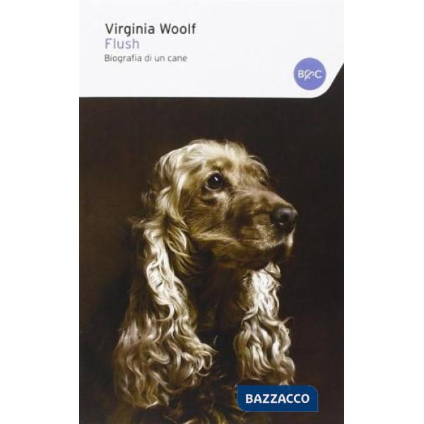 Flush, biografia di un cane