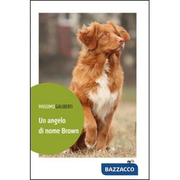 Angelo di nome Brown (Un)