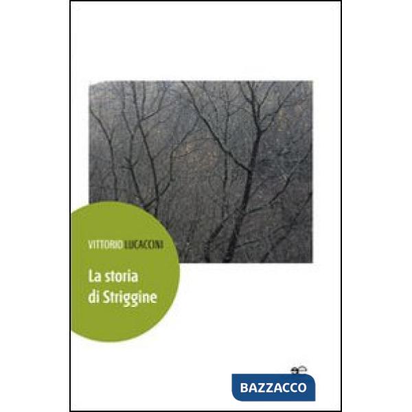 Storia di Striggine (La)