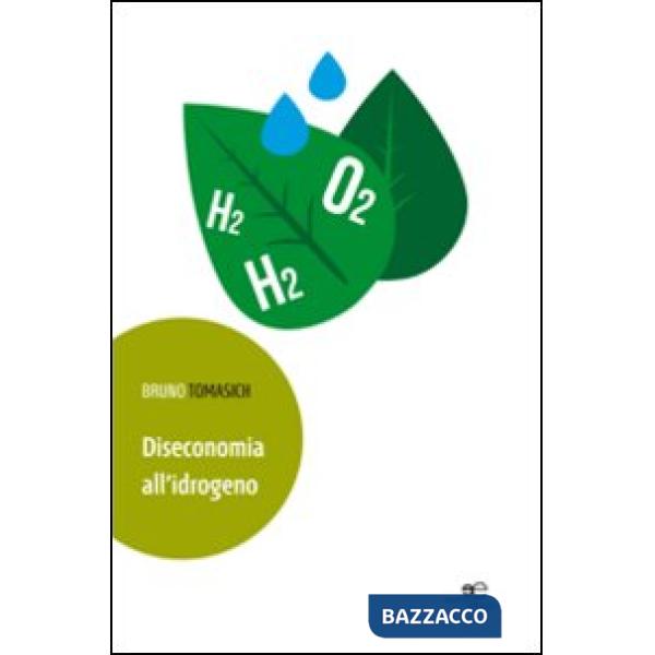 Diseconomia all'idrogeno