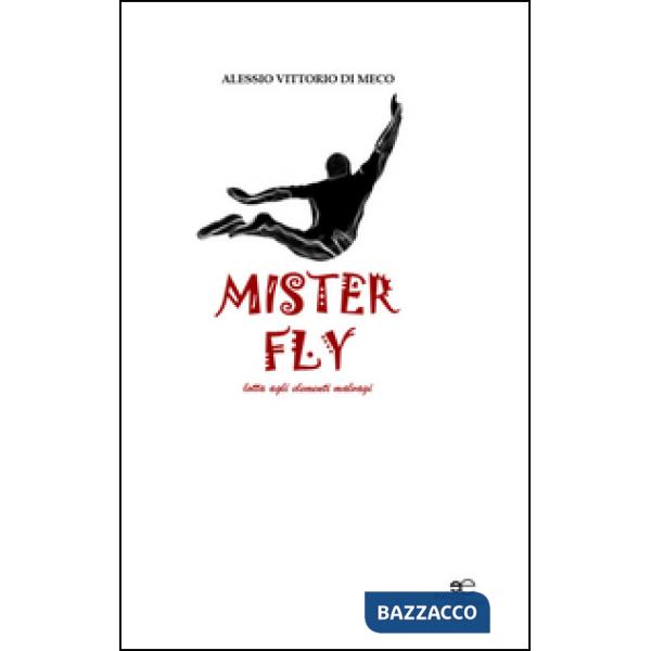Mister Fly. Lotta agli elementi malvagi