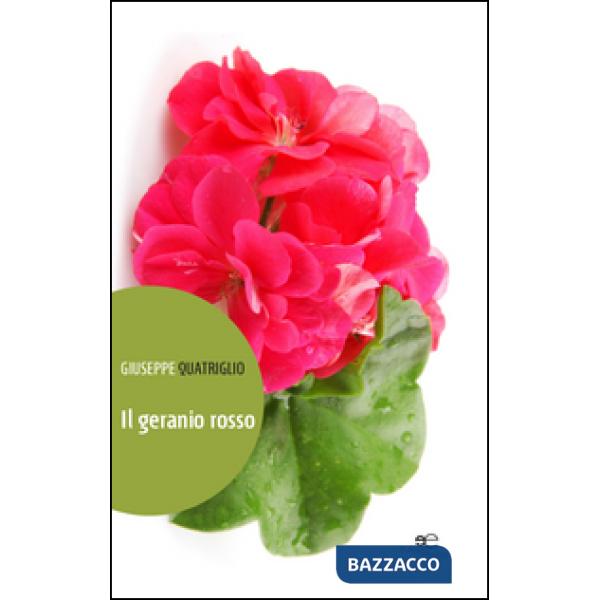 Geranio rosso (Il)