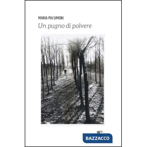 Pugno di polvere (Un)