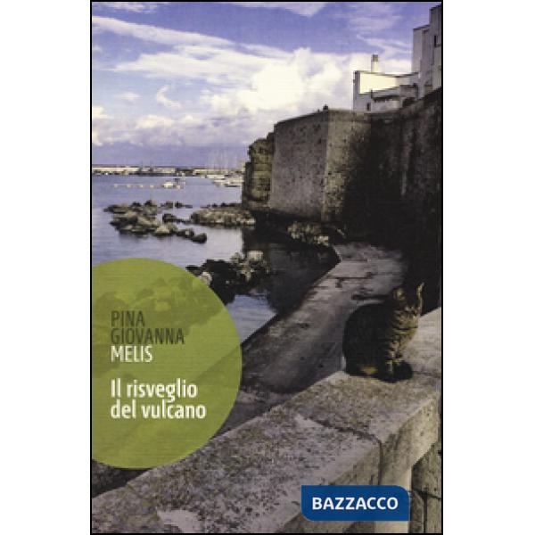 Risveglio del vulcano (Il)