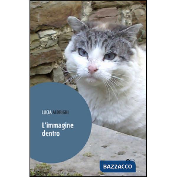 Immagine dentro (L')