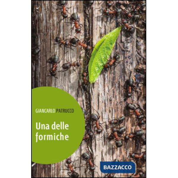 Delle formiche (Una)