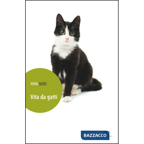 VIta da gatti