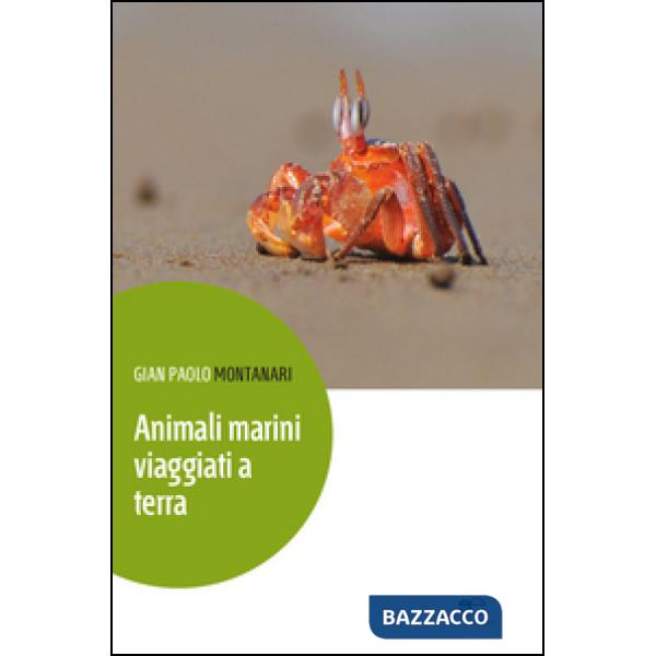 Animali marini viaggiati a terra