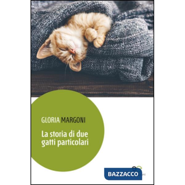 Storia di due gatti particolari (La)
