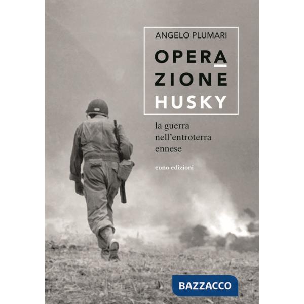 Operazione Husky. La guerra nell'entroterra ennese