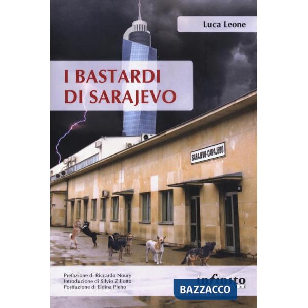 Bastardi di Sarajevo. Una città in balia della corruzione, un paese senza speranze di futuro, il fantasma del passato che torna 
