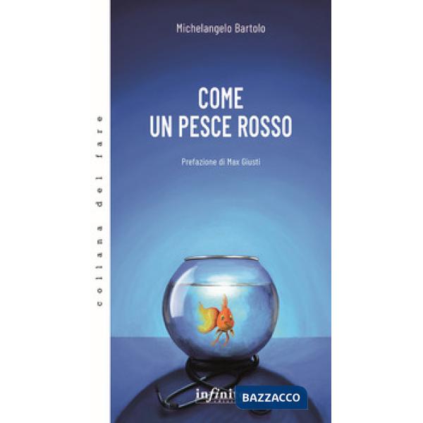 Come un pesce rosso