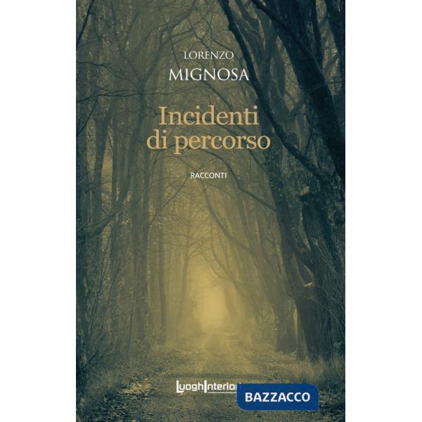 Incidenti di percorso