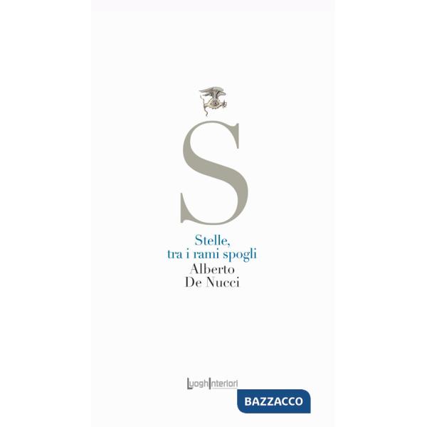 Stelle, tra i rami spogli