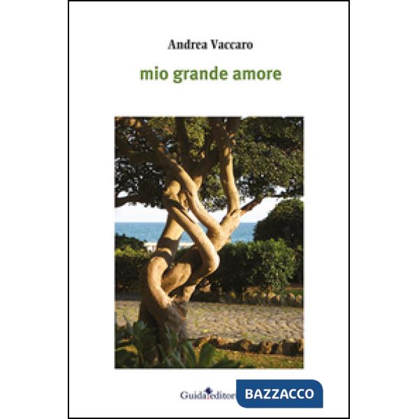 Mio grande amore