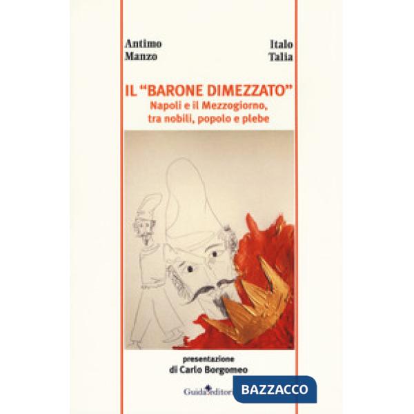 «barone dimezzato». Napoli e il Mezzogiorno tra nobili, popolo e plebe (Il)