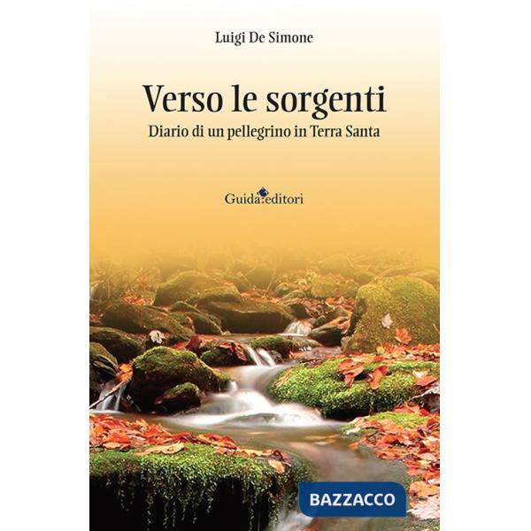Verso le sorgenti. Diario di un pellegrino in Terra Santa