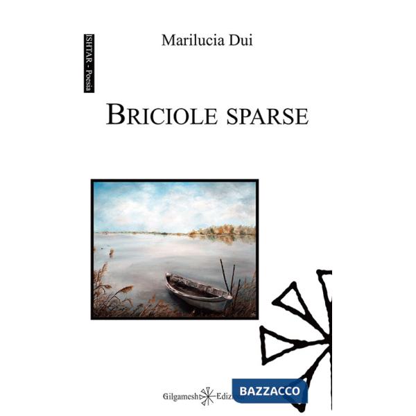 Briciole sparse. Con Libro in brossura