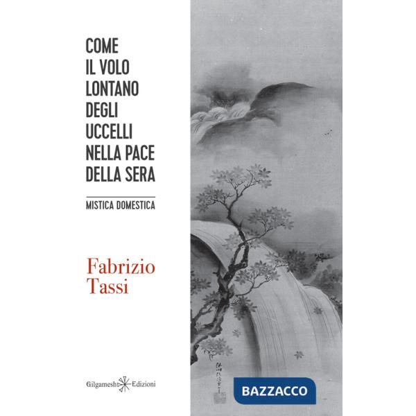 Come il volo lontano degli uccelli nella pace della sera. Mistica domestica. Con Libro in brossura